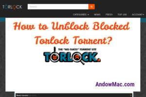 How to Unblock Blocked Torlock Torrent?