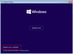 How to Fix Error Code 0xc000000f in Windows 10? (2)