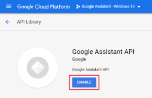 How To Run Voice Activated Google Assistant on Windows PC? (10)