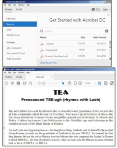 How to Edit PDFs in Microsoft Word? (11)