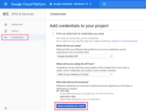 How To Run Voice Activated Google Assistant on Windows PC? (11)