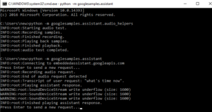 How To Run Voice Activated Google Assistant on Windows PC? (18)
