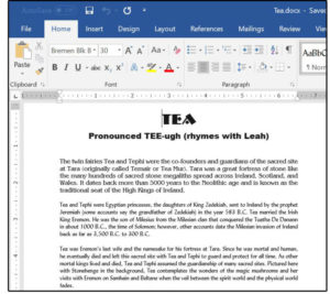 How to Edit PDFs in Microsoft Word? (3)