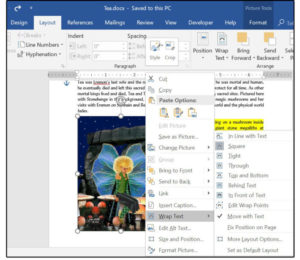 How to Edit PDFs in Microsoft Word? (5)