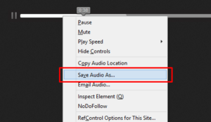 How to Download Tumblr Audio? 2