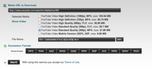 How to Download YouTube Videos without Software? 7