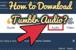 How to Download Tumblr Audio?