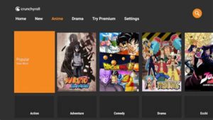 Top 5 Anime Websites to Watch and Stream Your Favorite Anime (3)