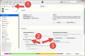 How to Downgrade iOS 13 Beta/ iPadOS 13 to iOS 12 without Losing any Data? (2)