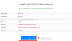 How to Downgrade iOS 13 Beta/ iPadOS 13 to iOS 12 without Losing any Data? (4)