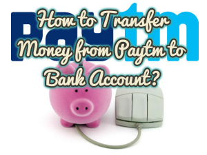 How to Transfer Money from Paytm to Bank Account?