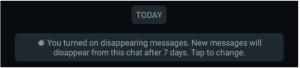 How to Send Disappearing Messages on Whatsapp? (4)