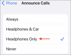 How to Set your Airpods to Announce Calls and Notifications? (8)